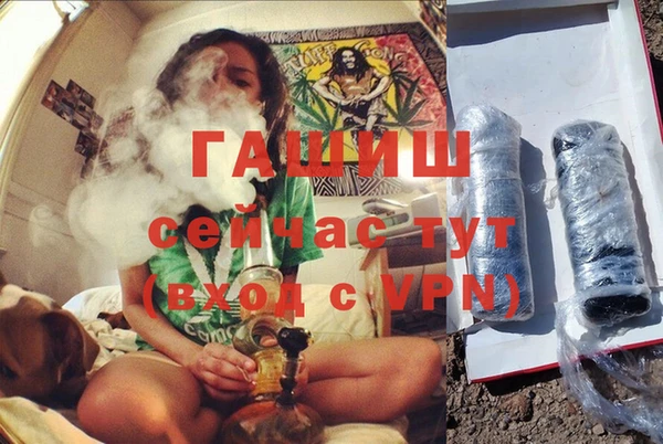 мяу мяу мука Белокуриха