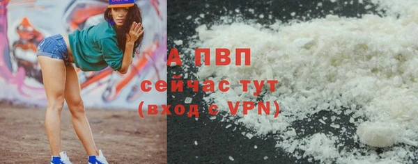 мяу мяу мука Белокуриха