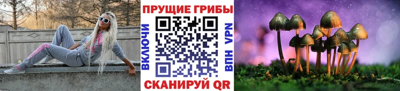 Псилоцибиновые грибы Magic Shrooms  Кропоткин 